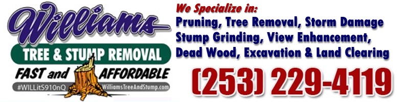 Williams Tree & Stump Removal