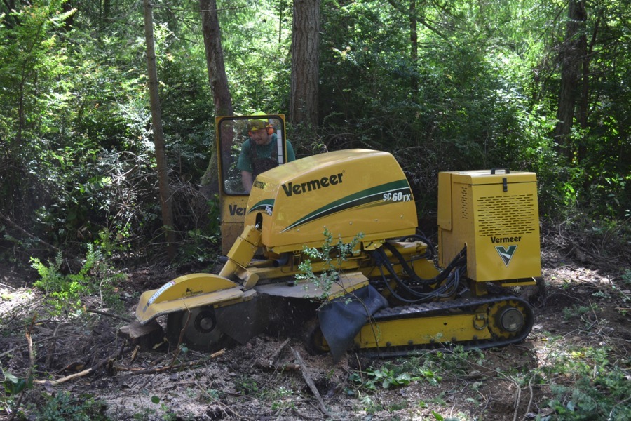 Stump Grinding Services